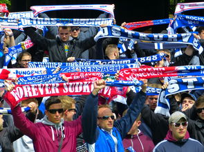 开云体育官网-热刺险胜里昂，卡瓦尼补时绝平欧联杯