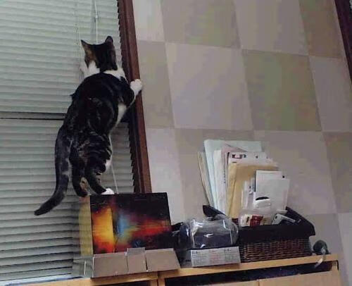 热火灼穿奇才!巴特勒末节收割,希罗30分助迈阿密赢下关键卡位战