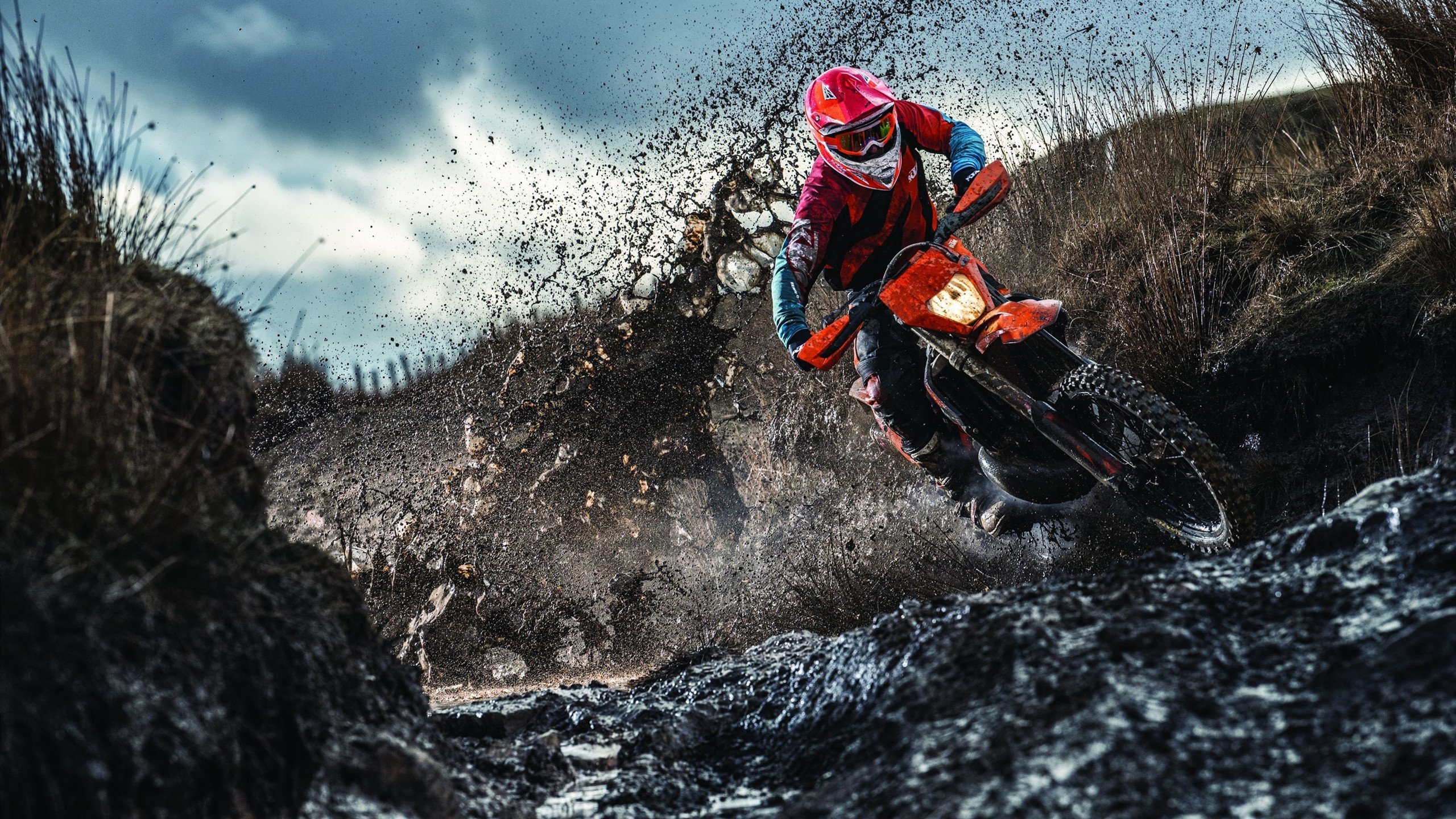 从质疑到主宰，德甲争冠夜，看布克如何以实力击碎所有噪音